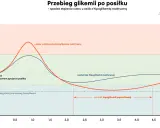 Wykres pokazuje przebieg glikemii po posiłku. Osoba z hipoglikemią reaktywną doświadcza spadku cukru, co może być sygnałem do detoksu od cukru.