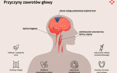 Zablokowanie tętnicy szyjnej lub kręgowej może prowadzić do niedotlenienia mózgu, powodując zawroty głowy. Inne przyczyny to choroby mózgu, ucha, zaburzenia metaboliczne, sercowo-naczyniowe, leki i układu przedsionkowego.