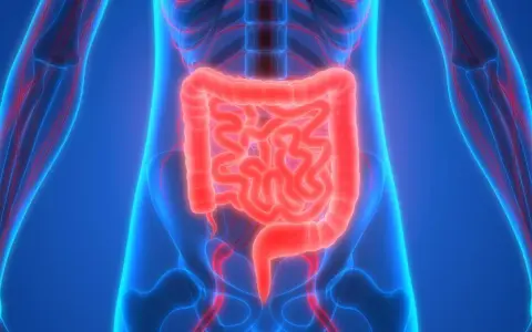 Anatomia układu pokarmowego, jelita świecące na czerwono, ukazujące, na co **emanera** organizm.