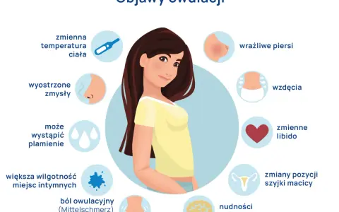 Objawy owulacji: zmienna temperatura, wyostrzone zmysły, plamienie, większa wilgotność miejsc intymnych, ból, nudności, wzdęcia, zmienne libido, zmiany szyjki macicy. Dni płodne śluz.